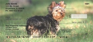 Here is an example of custom Yorkshire Terrier Checks