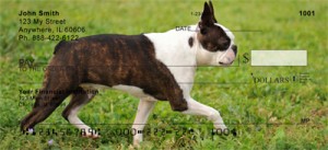 Here is an example of custom Boston Terrier Checks