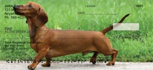 Here is an example of custom Dachshund Checks