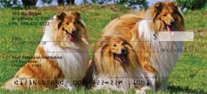 Here is an example of custom Collie Checks