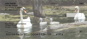 Here is an example of custom Swan Checks