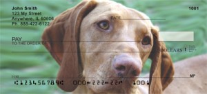 Here is an example of custom Vizsla Checks