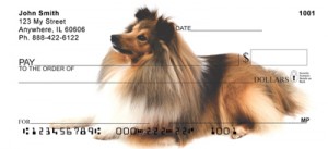 Here is an example of custom Shetland Sheepdog Checks