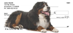 Here is an example of custom Bernese Mountain Dog Checks