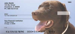 Here is an example of custom Labrador Retriever Checks