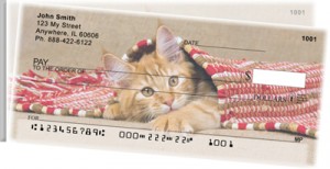 Here is an example of custom Cute Kittens Side Tear Personal Checks